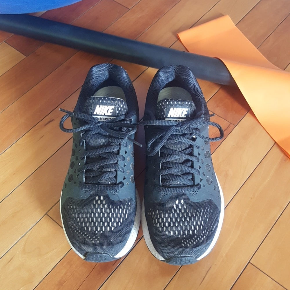 Nike Zoom Pegasus 31